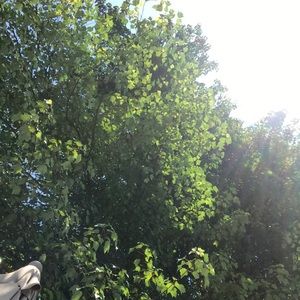 Meet your Posher, Evan